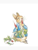 Peter Rabbit Personalised Baby Gifts - The Character Guide | That's mine