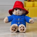 Classic Paddington Bear personalised soft toy Characters 3