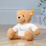 Personalised Steiff ben teddy bear medium soft toy Birthday Gifts 6