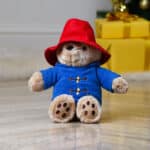 Classic Paddington Bear personalised soft toy Characters 3