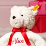 Personalised Steiff Jimmy love teddy bear Christmas Gifts 5