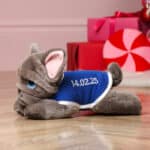 Personalised Keel signature french bulldog cuddle puppy with coat Birthday Gifts 3