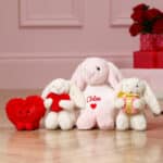 Valentines Jellycat amuseables red beatie heart soft toy Jellycat 5