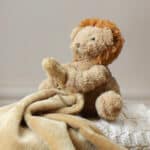 Personalised Jellycat Fuddlewuddle lion soother Comforters and Soothers 4