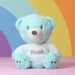 NEW – Personalised Mood Bear – Large Calm Bear with jumper Mood Bears 3