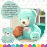 NEW – Personalised Mood Bear – Large Calm Bear with jumper Mood Bears 5