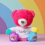 NEW – Personalised Mood Bear – Large Hope Bear with jumper Mood Bears 3