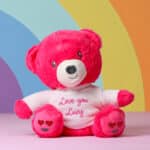 NEW – Personalised Mood Bear – Large Love Bear with jumper Mood Bears 3